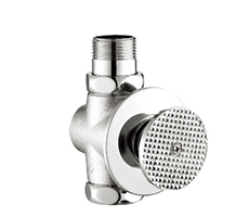 Concealed delay flush valve