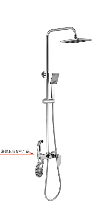 Top spray shower